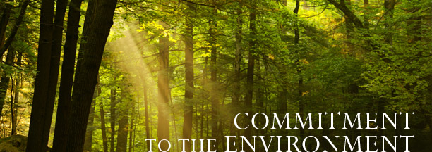 Commitment to the Environment