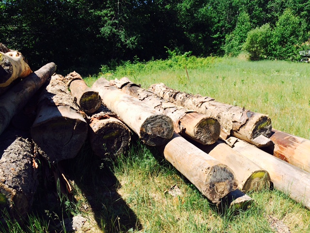 reclaimed logs by logs end