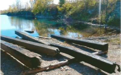 Environmental Responsibility