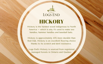 Hickory Flooring for High-Traffic Homes and Offices
