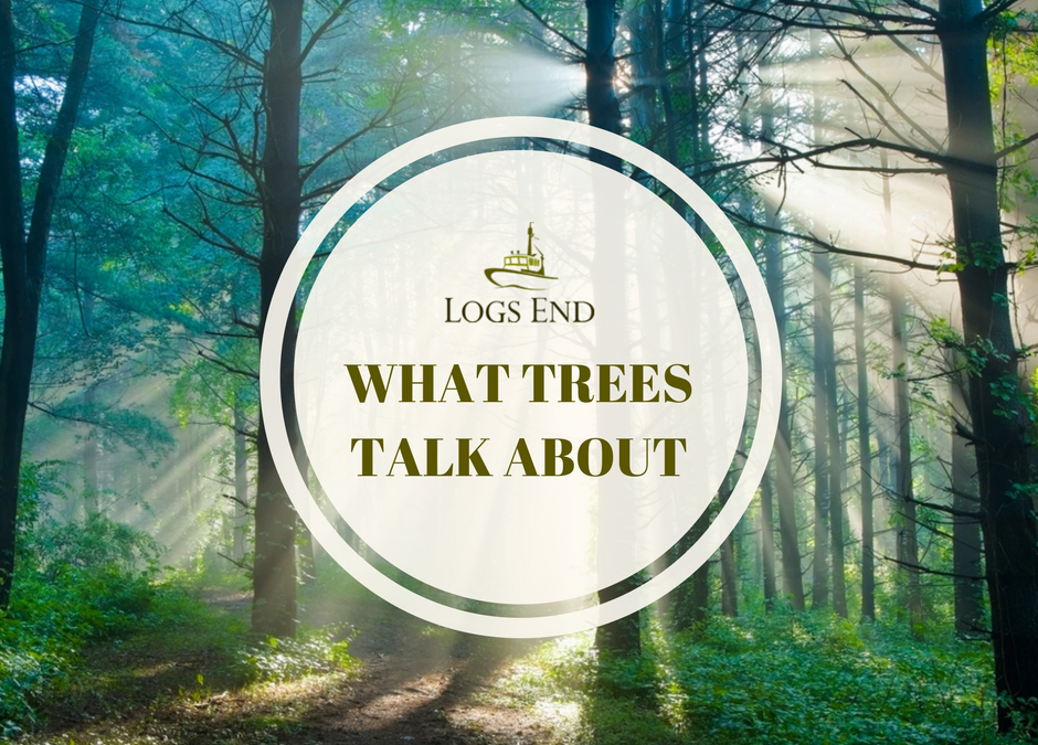 what trees talk about