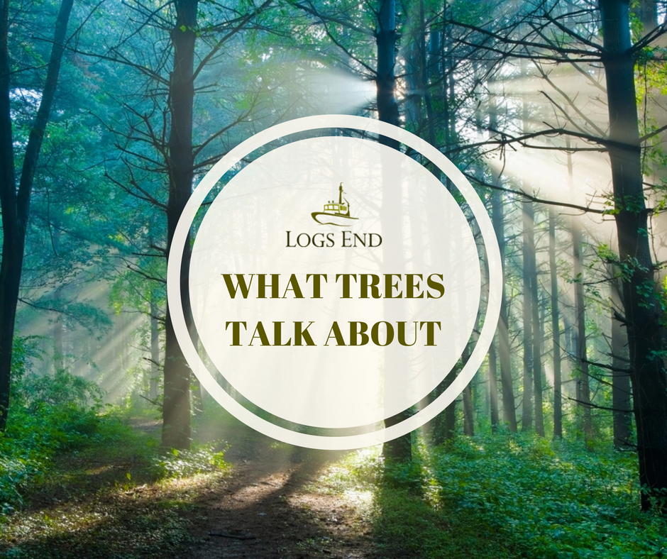 What Trees Talk About Logs End
