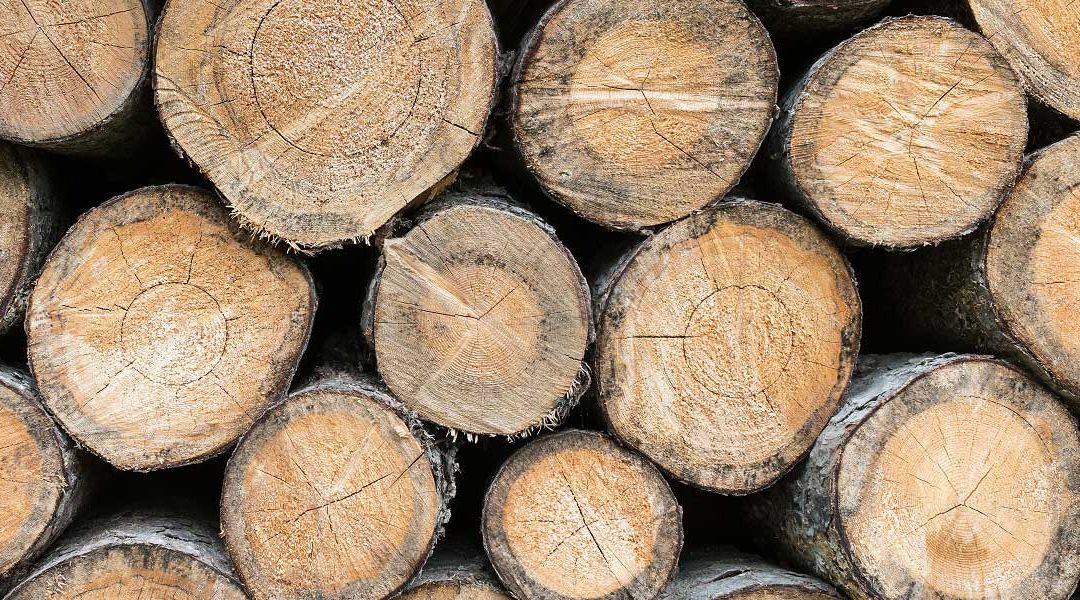 reclaimed wood flooring